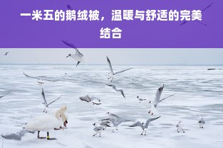 一米五的鹅绒被，温暖与舒适的完美结合