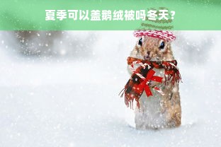 夏季可以盖鹅绒被吗冬天？