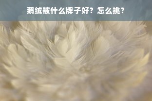 鹅绒被什么牌子好？怎么挑？