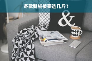 冬款鹅绒被要选几斤？