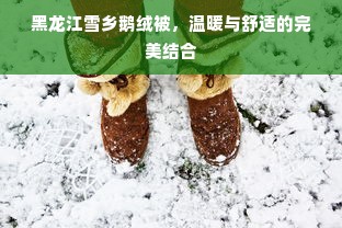 黑龙江雪乡鹅绒被，温暖与舒适的完美结合