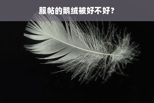 服帖的鹅绒被好不好？