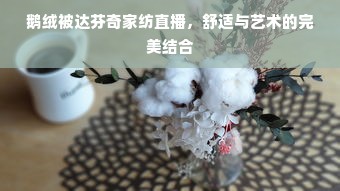 鹅绒被达芬奇家纺直播，舒适与艺术的完美结合