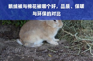 鹅绒被与棉花被哪个好，品质、保暖与环保的对比