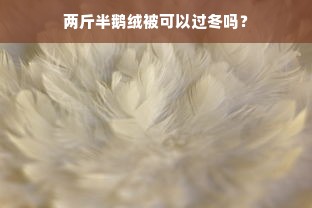 两斤半鹅绒被可以过冬吗？