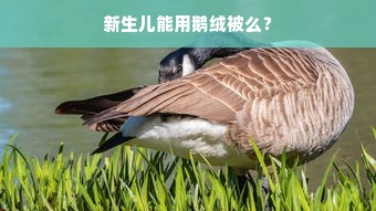 新生儿能用鹅绒被么？