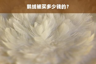 鹅绒被买多少钱的？