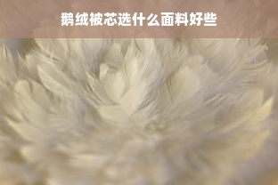 鹅绒被芯选什么面料好些