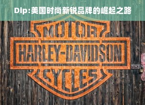 Dip:美国时尚新锐品牌的崛起之路