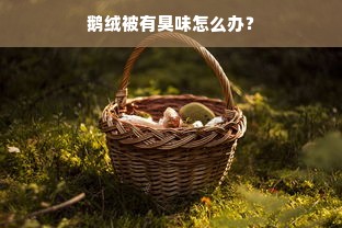 鹅绒被有臭味怎么办？