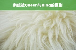 鹅绒被Queen与King的区别