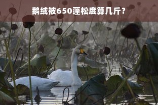 鹅绒被650蓬松度算几斤？