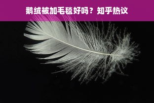 鹅绒被加毛毯好吗？知乎热议