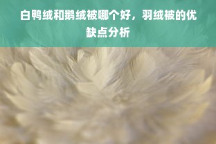 罗莱家纺白鹅绒被芯，品质与舒适的完美结合