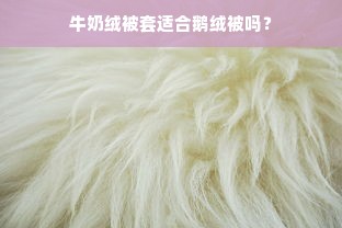 牛奶绒被套适合鹅绒被吗？