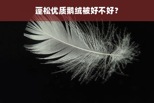 蓬松优质鹅绒被好不好？