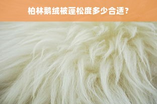 柏林鹅绒被蓬松度多少合适？