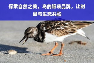 宜庭鹅绒被官方网站——品质保证，舒适睡眠