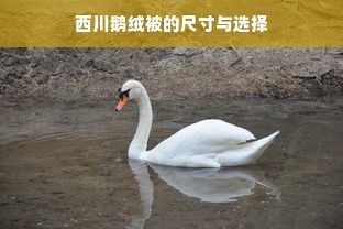 西川鹅绒被的尺寸与选择