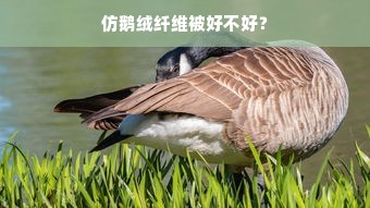 仿鹅绒纤维被好不好？