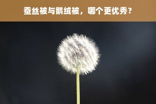 蚕丝被与鹅绒被，哪个更优秀？