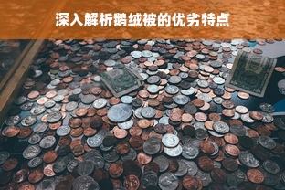 深入解析鹅绒被的优劣特点