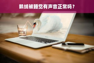 鹅绒被睡觉有声音正常吗？