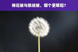 棉花被与鹅绒被，哪个更暖和？