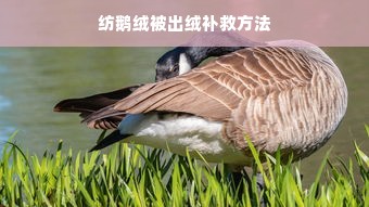 纺鹅绒被出绒补救方法