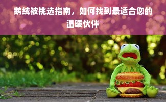 鹅绒被挑选指南，如何找到最适合您的温暖伙伴