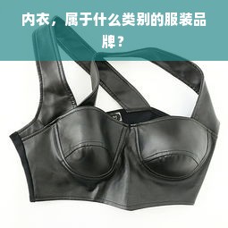 内衣，属于什么类别的服装品牌？