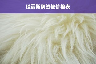 佳丽斯鹅绒被价格表