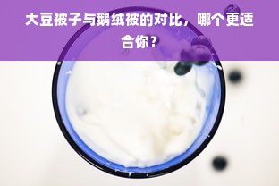 大豆被子与鹅绒被的对比，哪个更适合你？