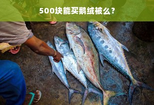 500块能买鹅绒被么？