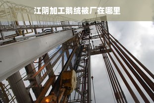 江阴加工鹅绒被厂在哪里