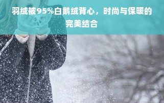 羽绒被95%白鹅绒背心，时尚与保暖的完美结合