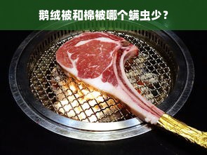 鹅绒被和棉被哪个螨虫少？