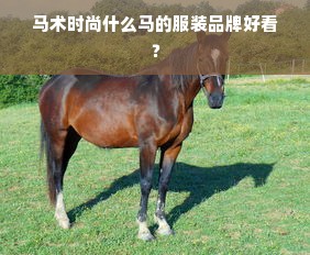 马术时尚什么马的服装品牌好看？