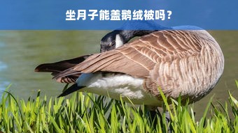 坐月子能盖鹅绒被吗？