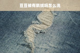 豆豆被有鹅绒吗怎么洗