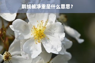 鹅绒被净重是什么意思？