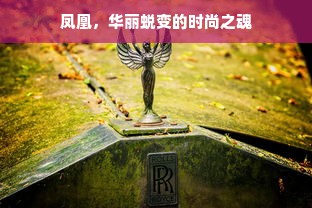 凤凰，华丽蜕变的时尚之魂