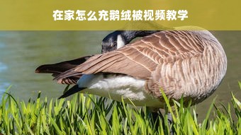 在家怎么充鹅绒被视频教学