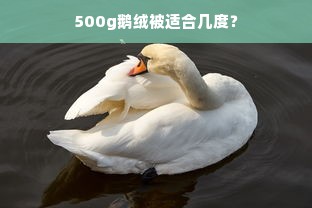 500g鹅绒被适合几度？