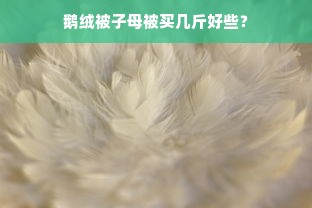 鹅绒被子母被买几斤好些？