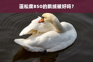 蓬松度850的鹅绒被好吗？