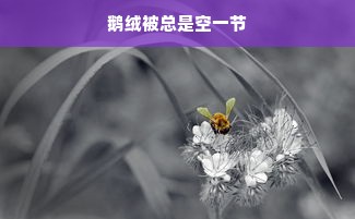 鹅绒被总是空一节