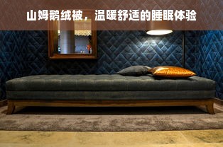 山姆鹅绒被，温暖舒适的睡眠体验