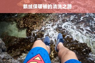 鹅绒保暖被的清洗之路