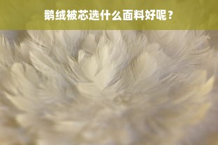 鹅绒被芯选什么面料好呢？